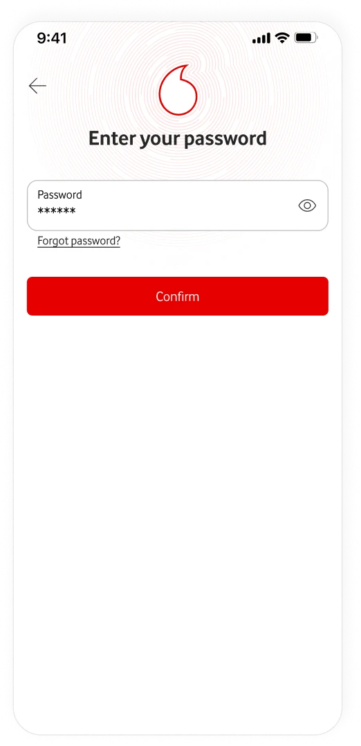 Password confirmation screen used after the customer switches to Wi-Fi